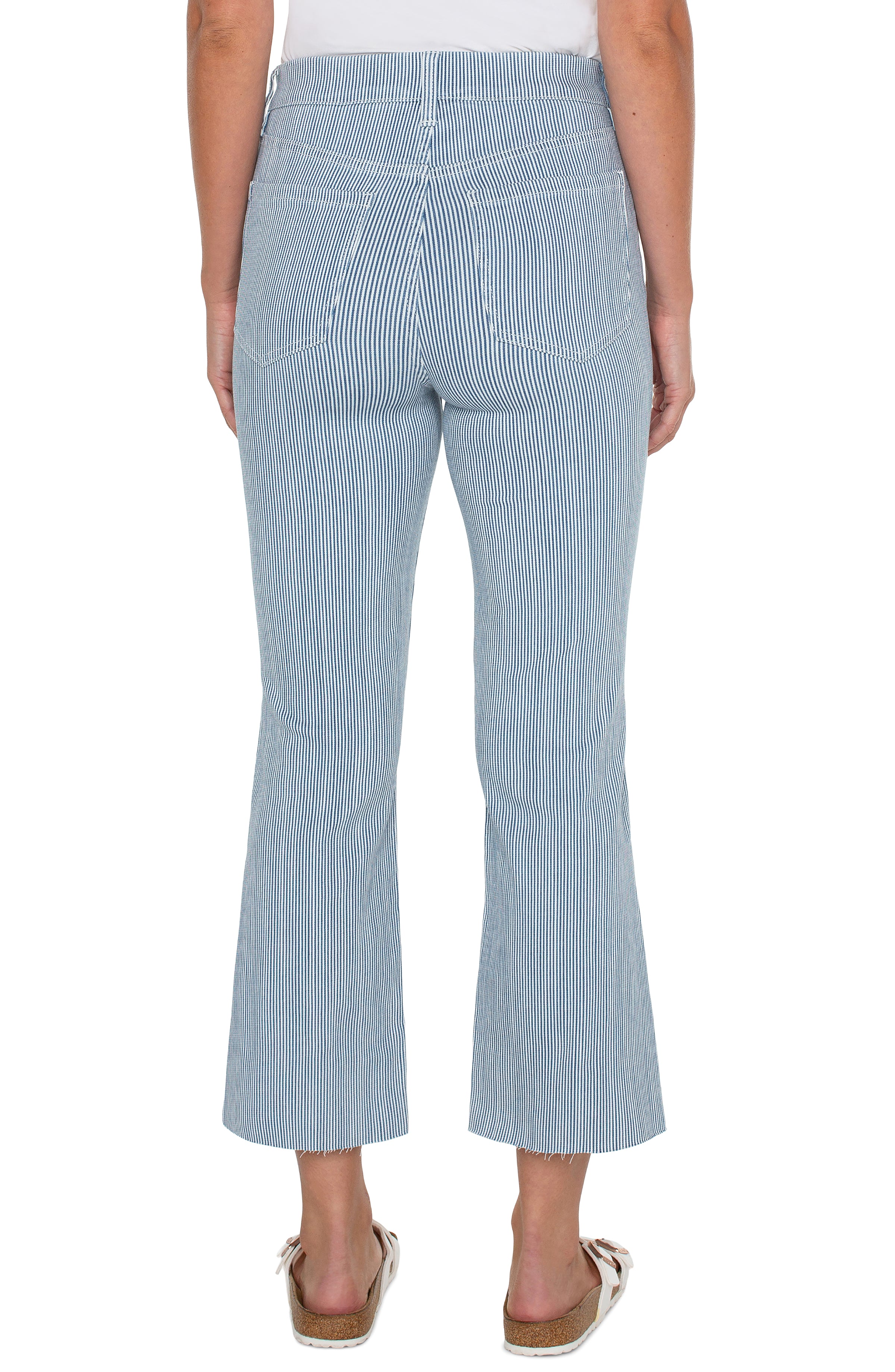 Liverpool Gia Glider Crop Flare Twisted Seam - Chambray Stripe Back View